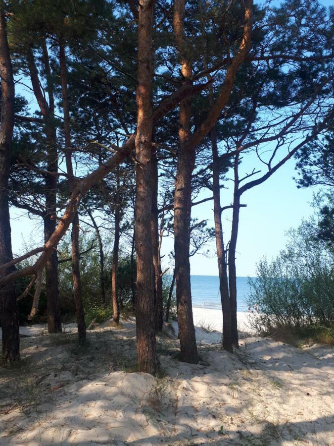 1 Apartamentai Prie Juros بالانغا المظهر الخارجي الصورة